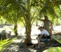 marc_and_adam_chilling_under_tree