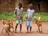 two-boys-and-three-dogs