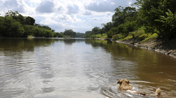 peru_amazon