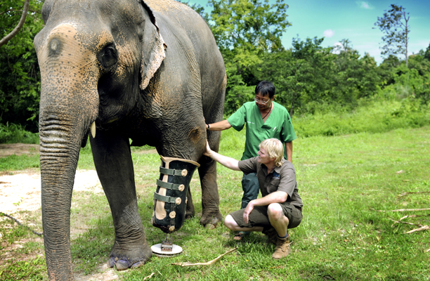 thailand_elephant3