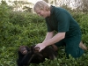 luke_tickling_chimp