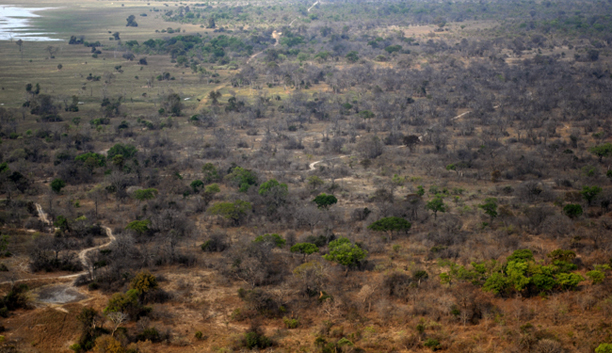 aerial-park