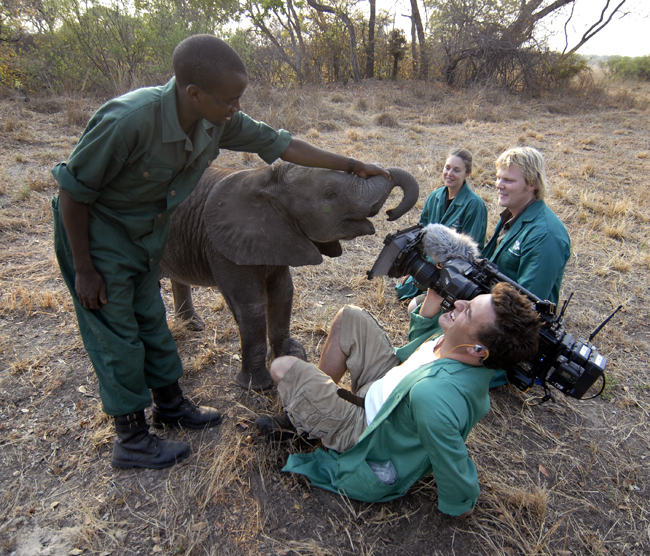 filming-elephant-on-floor-copy