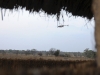 zambia_helicopter