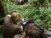 filming_luke_with_gorillas